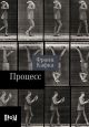 Процесс (мягк.обл.)