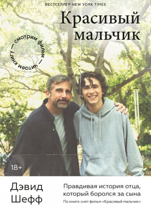 Красивый мальчик. Правдивая история отца, который боролся за сына (мягк.обл.)