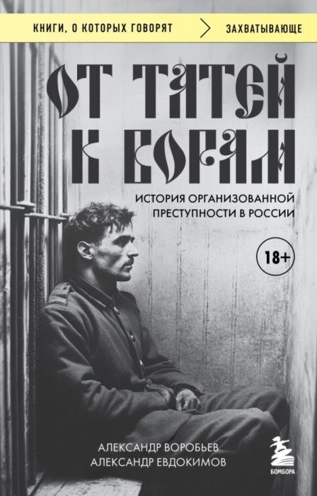 От татей к ворам: история организованной преступности в России. (мягк.обл.)