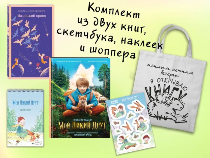 Набор "Мой дикий друг" (набор из книги, наклеек, скетчбука с шоппером) (мягк.обл.)