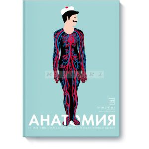 Анатомия