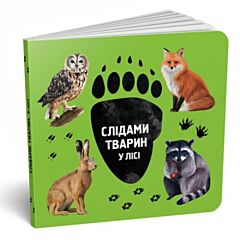 У лісі. Слідами тварин