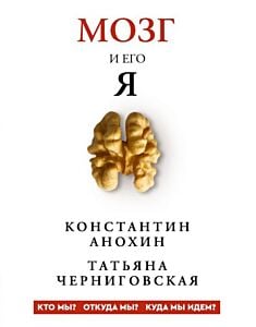 Мозг и его Я. Кто мы? Откуда мы? Куда мы идём?