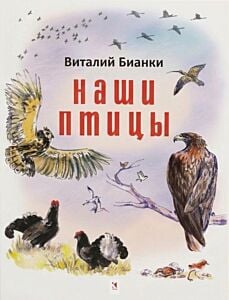 Наши птицы