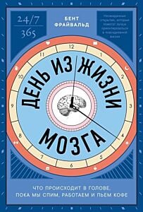 День из жизни мозга. Что происходит в голове, пока мы спим, работаем и пьём кофе
