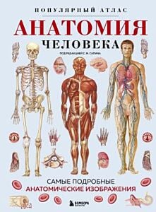 Анатомия человека. Популярный атлас. Самые подробные анатомические изображения