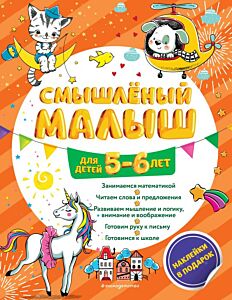 Смышлёный малыш: для детей 5-6 лет (с наклейками) (мягк.обл.)