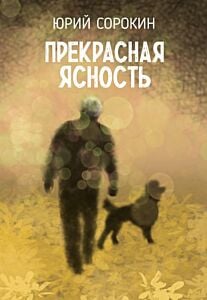 Прекрасная ясность