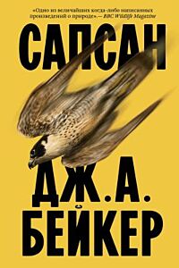 Сапсан (мягк.обл.)