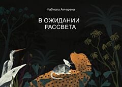 В ожидании рассвета