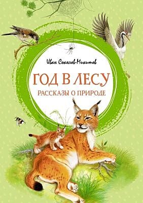 Год в лесу. Рассказы о природе