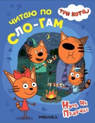 Читаю по слогам. Ночь на природе. Три кота (мягк.обл.)