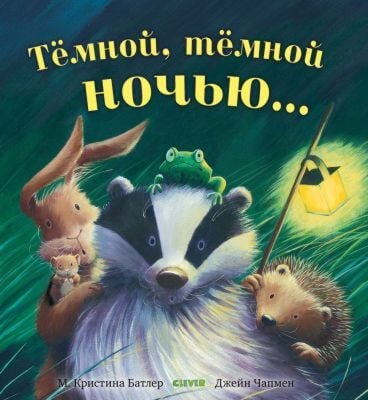 Тёмной, тёмной ночью... (мягк.обл.)