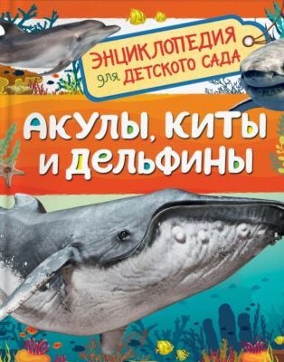 Акулы, киты и дельфины. Энциклопедия для детского сада