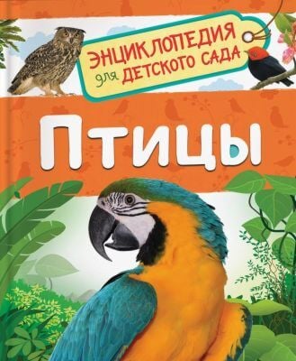 Птицы. Энциклопедия для детского сада