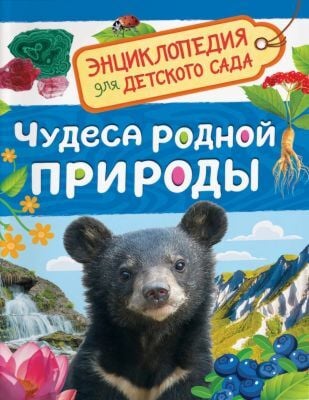 Чудеса родной природы. Энциклопедия для детского сада