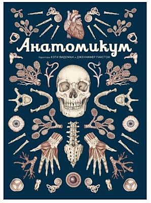 Анатомикум
