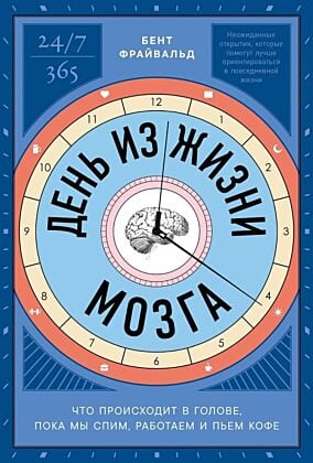 День из жизни мозга. Что происходит в голове, пока мы спим, работаем и пьём кофе