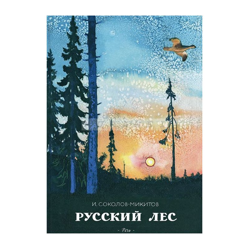 Фото по запросу Русский лес