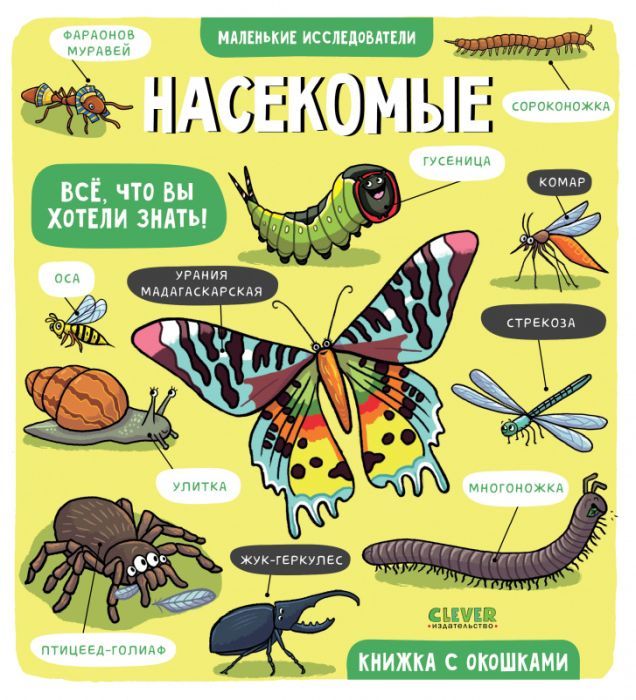 Наши книги о насекомых. | форум Babyblog