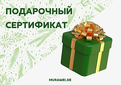 Подарочный сертификат от 10 до 300 евро