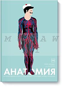 Анатомия