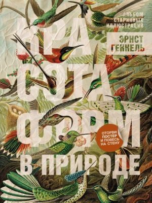 Красота форм в природе. Альбом старинных иллюстраций (мягк.обл.)