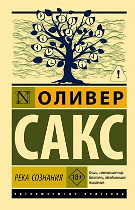 Река сознания (мягк.обл.)