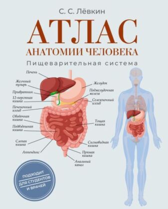 Атлас анатомии человека. Пищеварительная система (мягк.обл.)