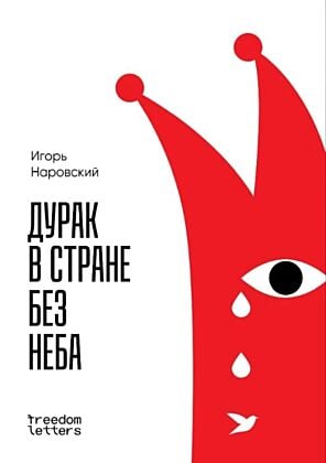 Дурак в стране без неба (мягк.обл.)