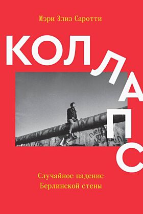 Коллапс. Случайное падение Берлинской стены (мягк.обл.)