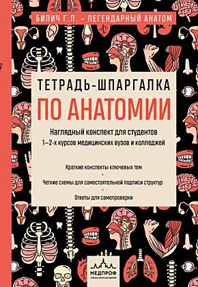 Тетрадь-шпаргалка по анатомии (мягк.обл.)