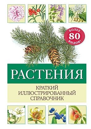 Растения. Краткий иллюстрированный справочник