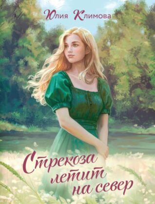 Стрекоза летит на север (мягк.обл.)