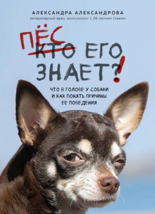 Пес его знает! Что в голове у собаки, и как понять причины ее поведения