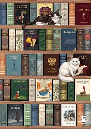 Блокнот. Книжный шкаф. (А5, твердая обложка, 64 л.) (у.н.)