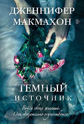 Темный источник (мягк.обл.)