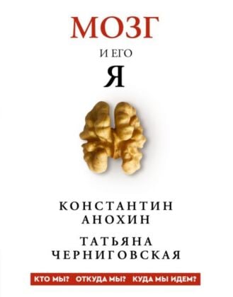 Мозг и его Я. Кто мы? Откуда мы? Куда мы идём?