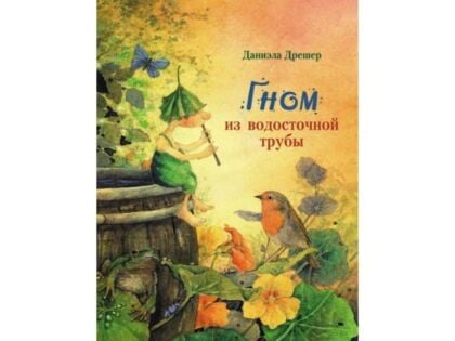 Гном из водосточной трубы (книга с дефектом)