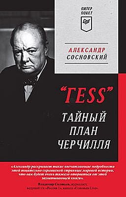 ГESS Тайный план Черчилля   (мягк.обл.)