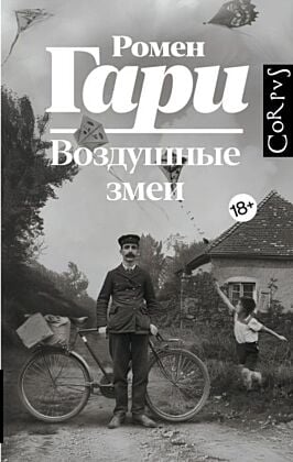 Воздушные змеи (книга с дефектом)