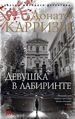Девушка в лабиринте (мягк/обл.) (мягк.обл.)