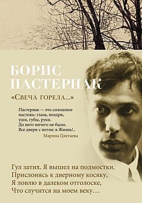 Свеча горела... (серия Азбука-поэзия)