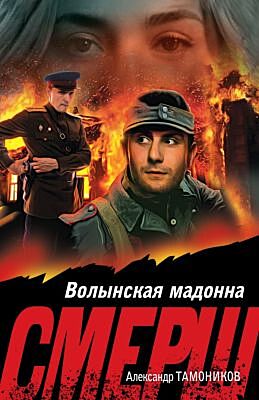 Волынская мадонна (мягк.обл.)