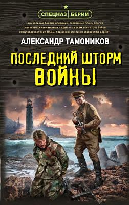 Последний шторм войны