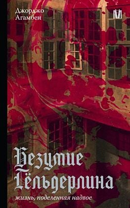 Безумие Гёльдерлина. Жизнь, поделенная надвое (мягк.обл.)