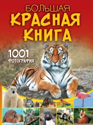 Большая красная книга. 1001 фотография