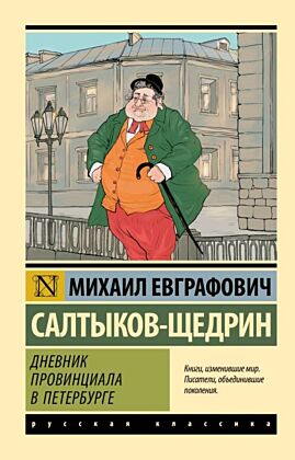 Дневник провинциала в Петербурге (мягк.обл.)