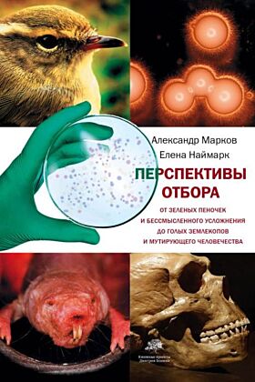 Перспективы отбора
