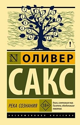 Река сознания (мягк.обл.)